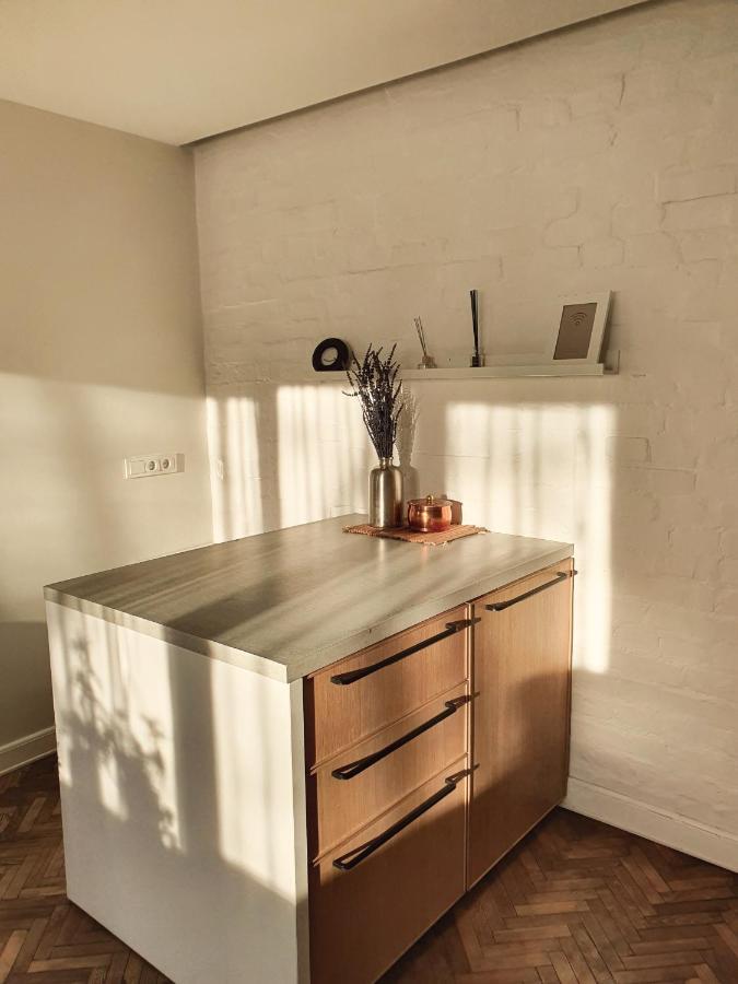 Downtown Apartment Rentals 2 シャウレイ エクステリア 写真