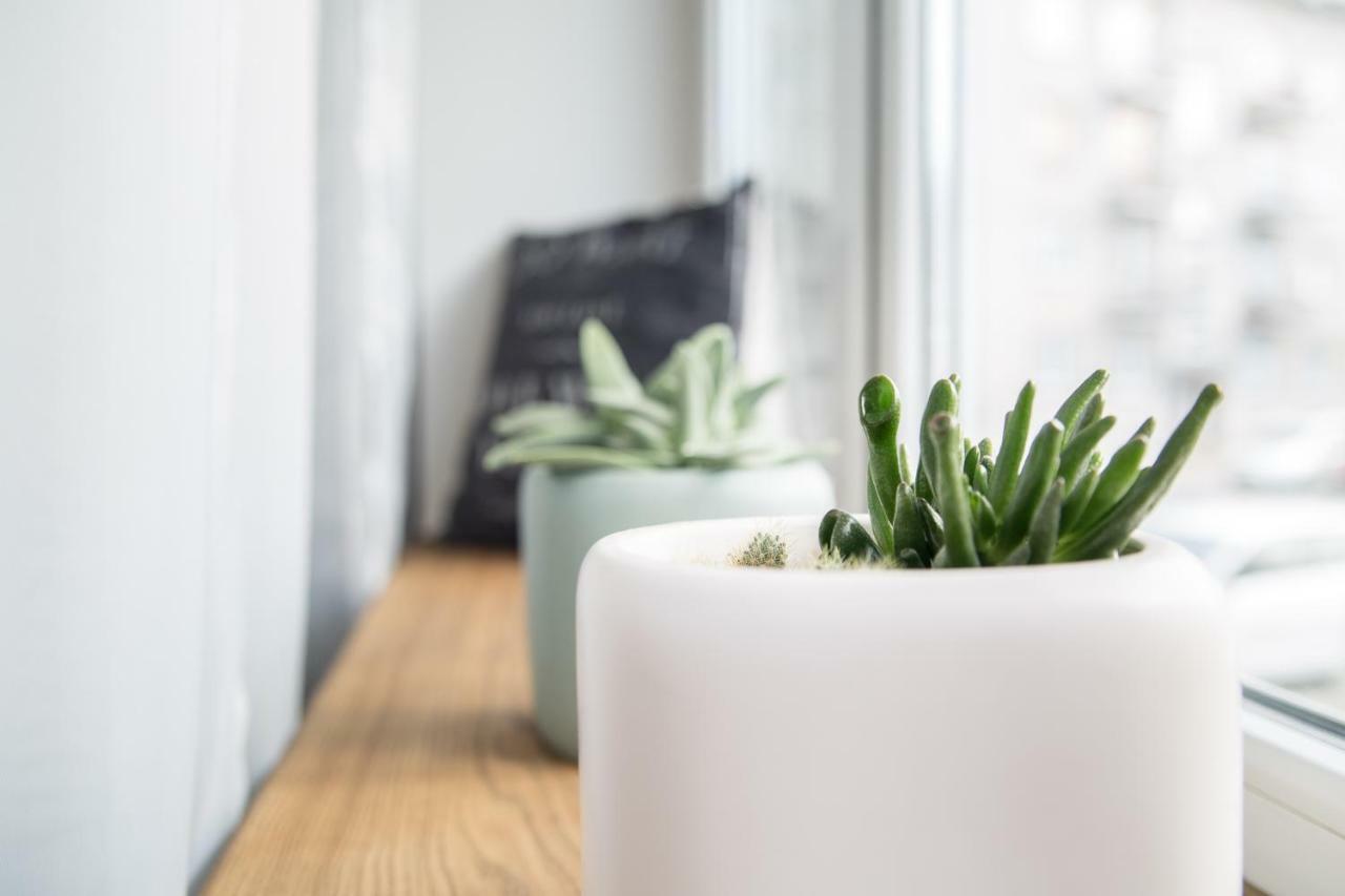 Downtown Apartment Rentals 2 シャウレイ エクステリア 写真